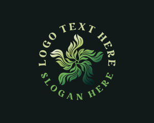 Organic Herbal Leaves  Logo