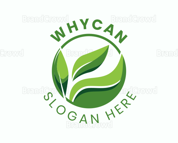 Green Organic Leaf Logo