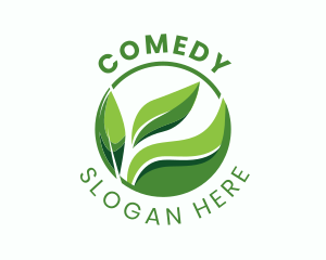 Green Organic Leaf Logo