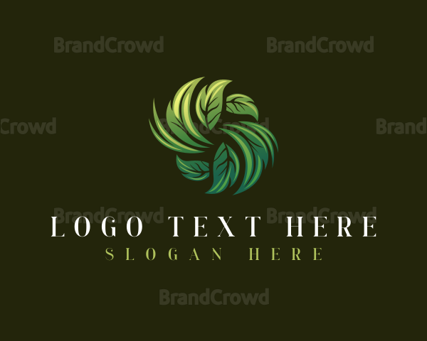 Organic Leaf Herbal Logo