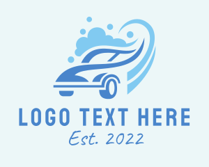 Detailing - Sanitize Car Wash Cleaner logo design