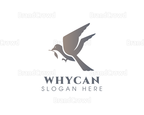 Avian Flying Bird Logo