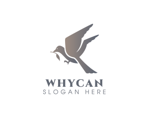 Sanctuary - Avian Flying Bird logo design