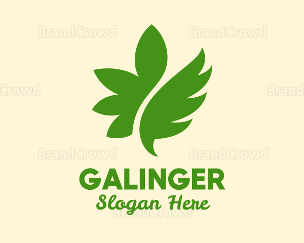Green Floating Leaf Logo