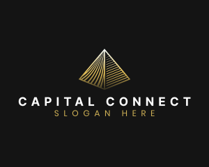 Professional Pyramid Agency logo design