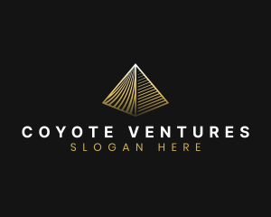 Professional Pyramid Agency logo design