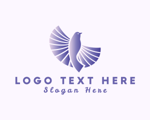 Feather - Pigeon Dove Bird logo design