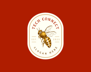 Apothecary - Honey Bee Mead logo design