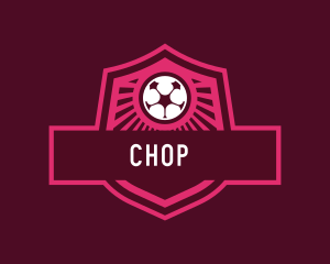 Varsity - Soccer Player Team logo design