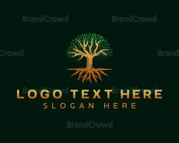 Tree Nature Abstract Logo