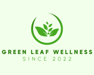 Green Leaf Wellness logo design