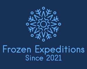 Antarctica - Star Christmas Snowflake logo design