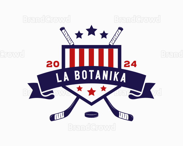 American Hockey Sports Logo