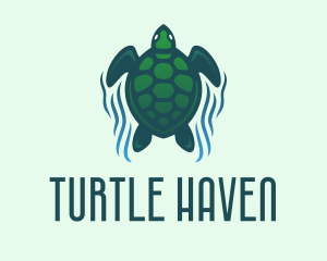 Green Sea Turtle  logo design