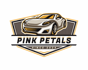 Car Detailing Automotive  logo design