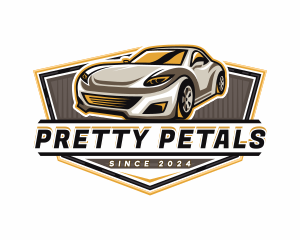 Car Detailing Automotive  logo design