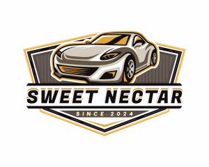 Car Detailing Automotive  logo design