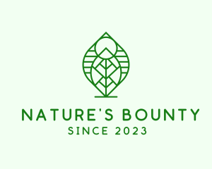 Natural Beauty Leaf logo design