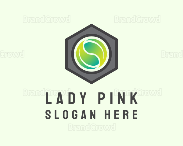 Sustainable Hexagon Leaf Logo