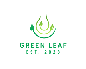 Water Leaf Plant logo design