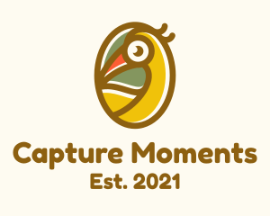Destination - Tropical Toucan Bird logo design