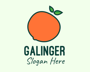 Organic Orange Fruit Logo