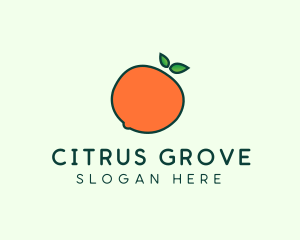 Organic Orange Fruit logo design