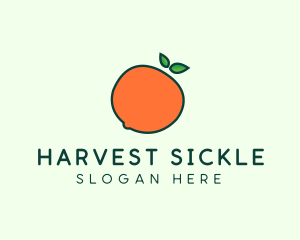 Organic Orange Fruit logo design