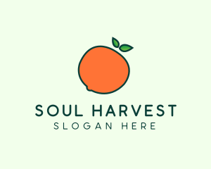 Organic Orange Fruit logo design