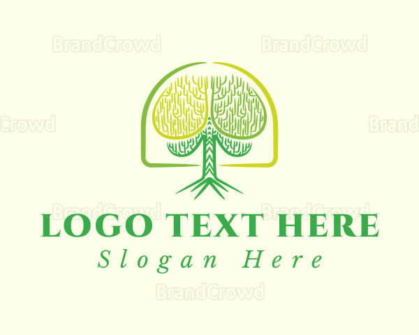 Brain Tree Psychology Logo