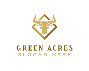 Bison Horn Ranch logo design