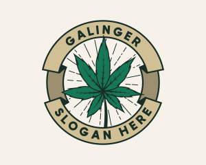 Dispensary - Cannabis Leaf Plant logo design