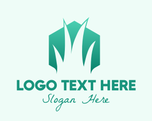 Environment - Natural Hexagon Grass logo design