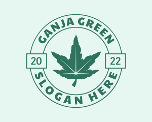 Organic Cannabis Herb logo design