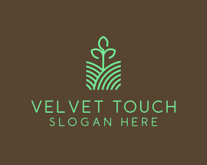 Agriculture Seedling Plant logo design