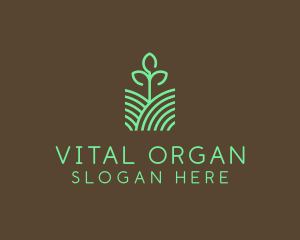 Agriculture Seedling Plant logo design