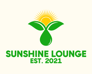 Sunshine Sprout Droplet  logo design