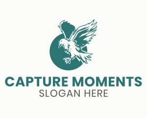 Soaring - Flying Majestic Eagle logo design