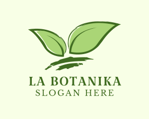 Natural Wellness Tea Leaf Logo