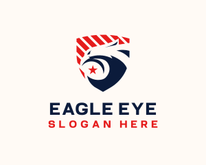 USA Eagle Aviation logo design