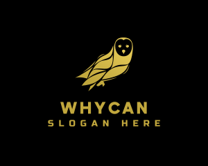 Animal - Golden Owl Bird logo design