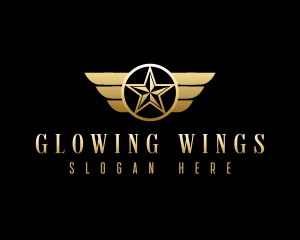 Star Wings Aviation logo design