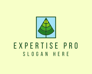 Nature Forest Tree logo design