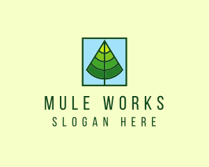 Nature Forest Tree logo design