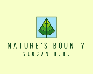 Nature Forest Tree logo design