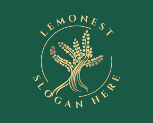 Asset - Wellness Golden Tree logo design