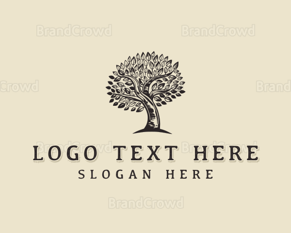 Oak Tree Forest Logo