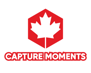 Maple Leaf Hexagon logo design