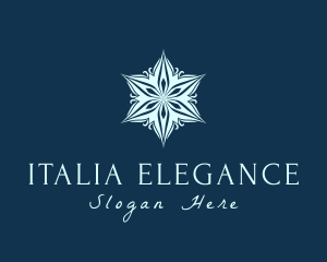 Elegant Star Mandala logo design