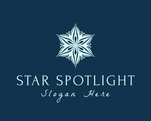 Elegant Star Mandala logo design